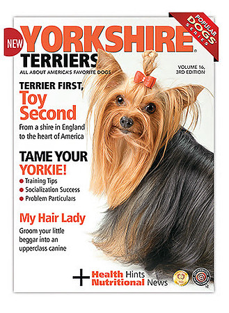 Long Island NY Pet and Animal Photographer