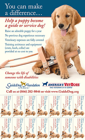 Long Island NY Pet and Animal Photographer