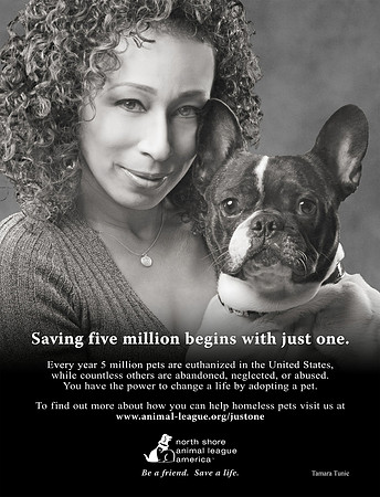 Long Island NY Pet and Animal Photographer