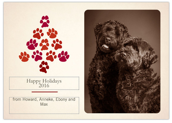 Long Island NY Pet and Animal Photographer
