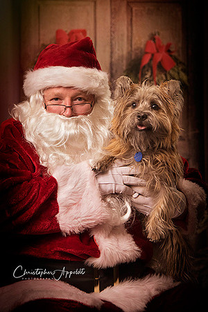 Long Island Pet Dog Photographer