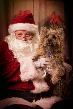 long island pet photographer