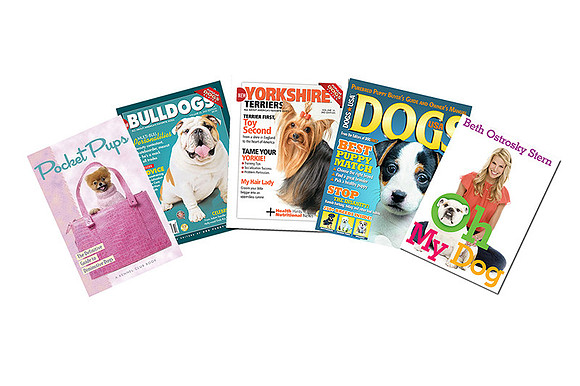 Long Island Pet Photography Web