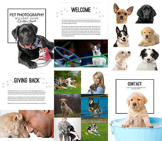 Appoldt Photography Pets Long Island Web